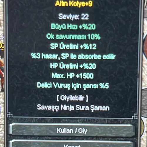 +9 altın kolye